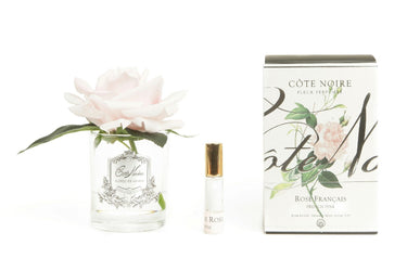 Single Rose - Clear Glass - French Pink - GMR06 (Carton of 4)